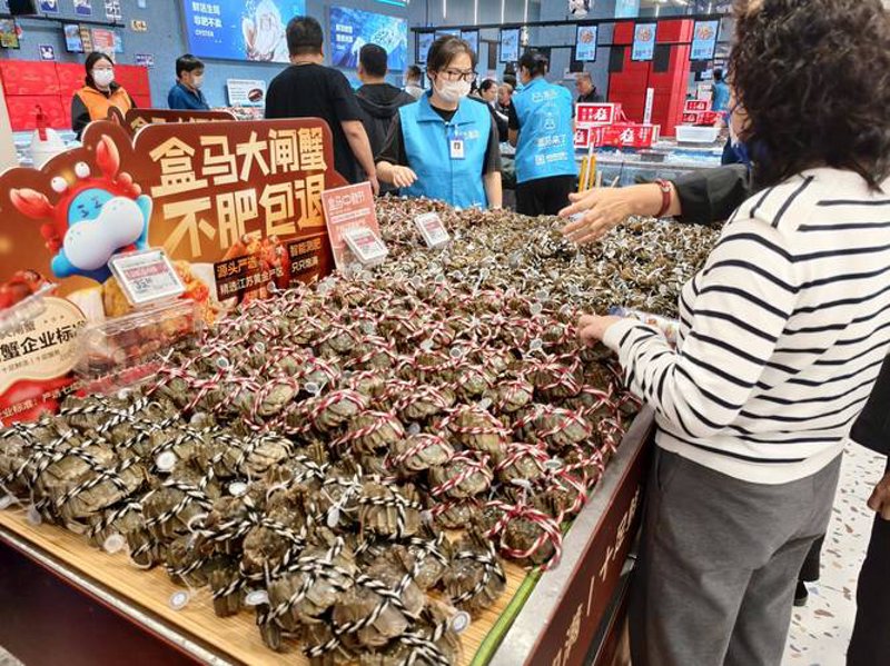 成都批发行业的市场活力与未来发展